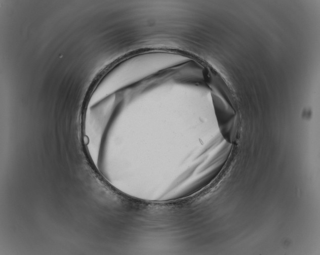 X0000090880840200708241939