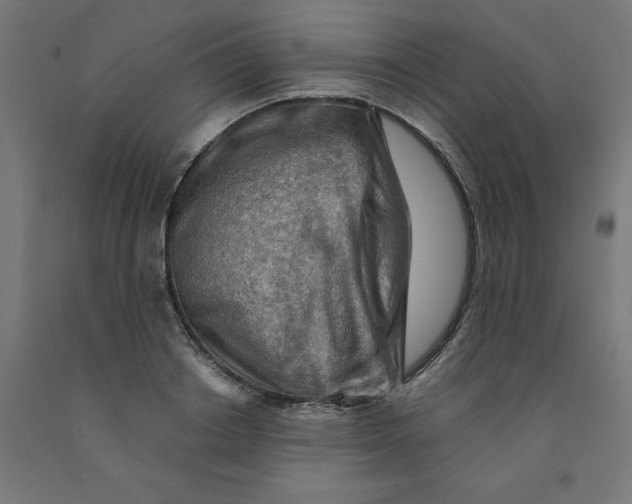 X0000090880842200708241939