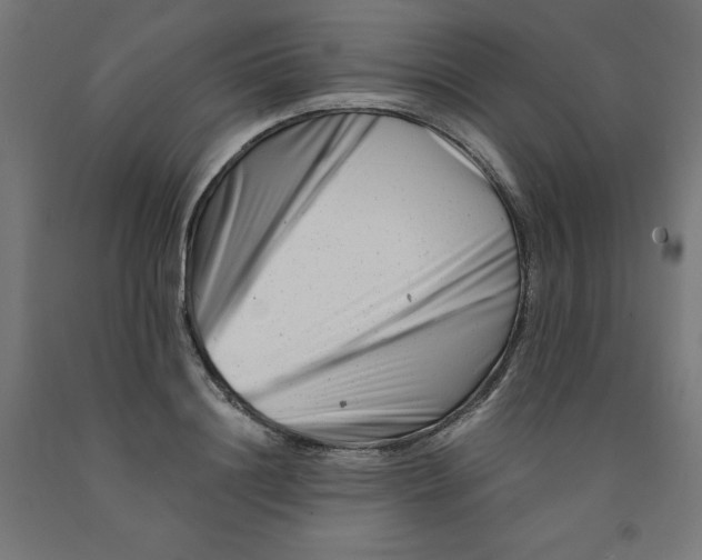 X0000090880844200708241939