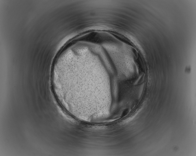 X0000090880845200708241939