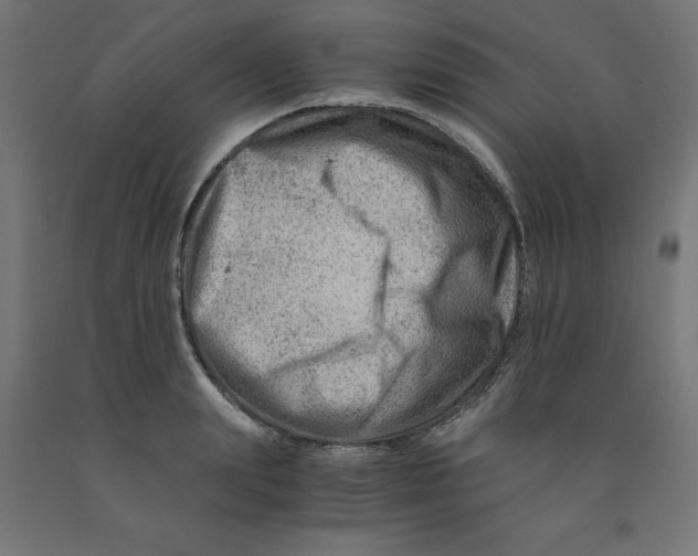 X0000090880847200708241939