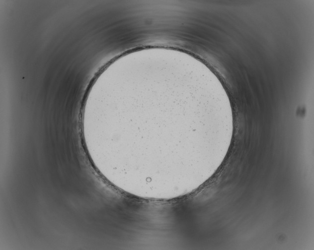 X0000090880848200708241939