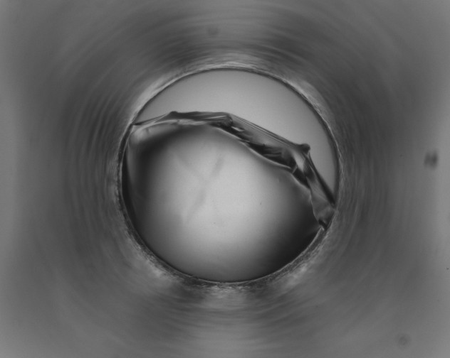 X0000090880850200708241939