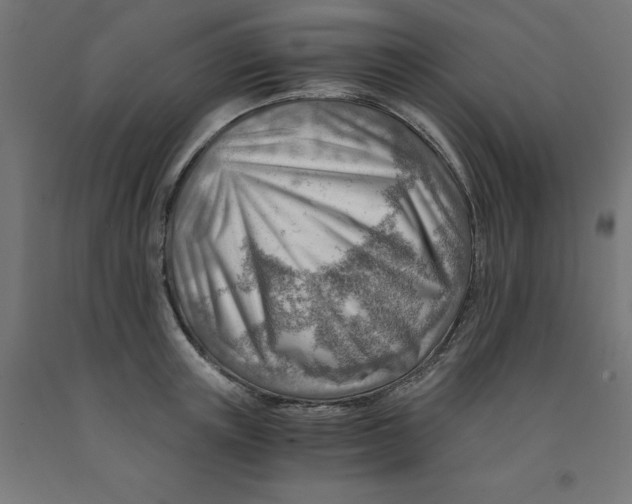 X0000090880851200708241939