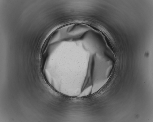 X0000090880852200708241939