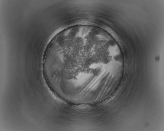 X0000090880853200708241939