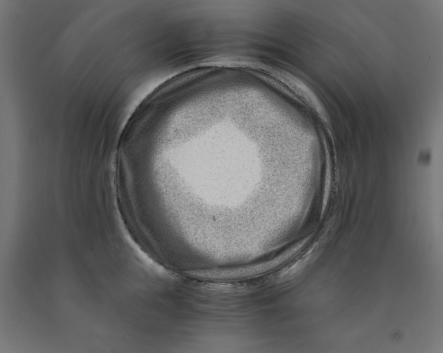 X0000090880855200708241939