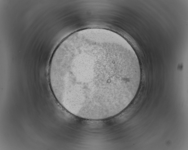 X0000090880856200708241939