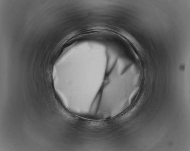 X0000090880857200708241939