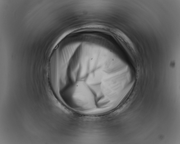 X0000090880860200708241939