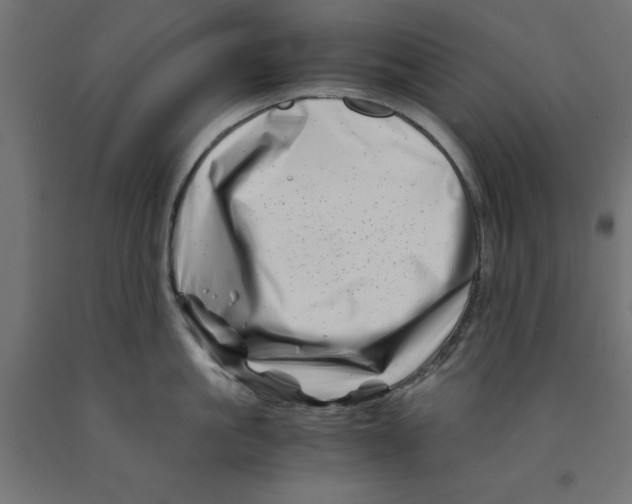 X0000090880861200708241939