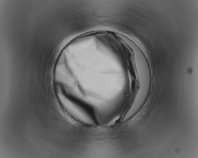 X0000090880862200708241939