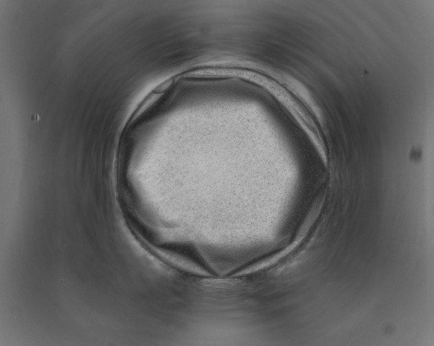 X0000090880863200708241939