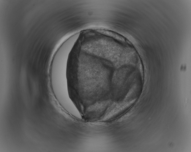 X0000090880864200708241939