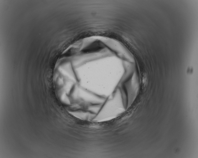 X0000090880867200708241938