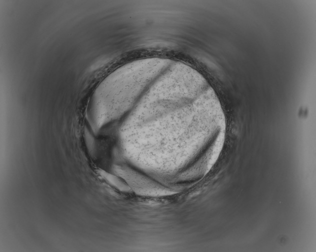 X0000090880869200708241938