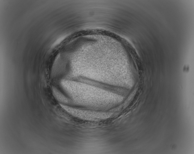 X0000090880871200708241938