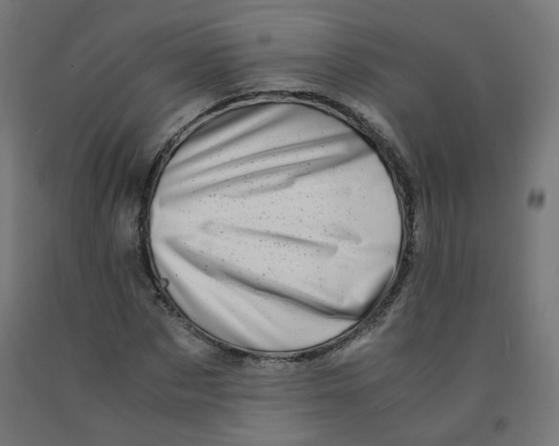 X0000090880873200708241938