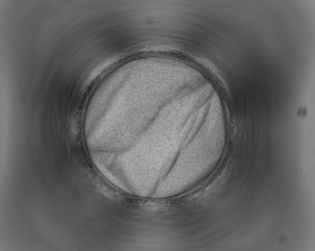 X0000090880874200708241938