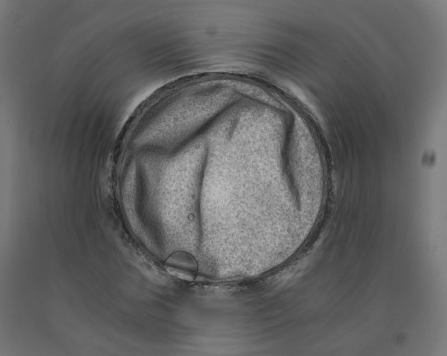 X0000090880875200708241938