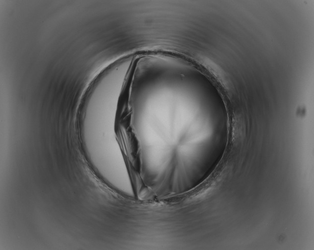 X0000090880876200708241938