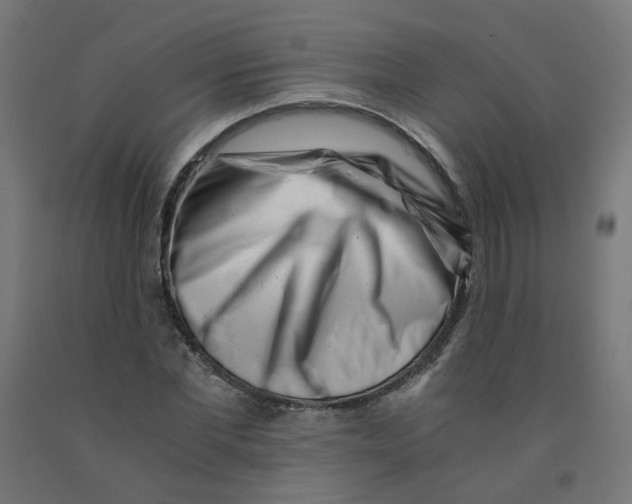 X0000090880877200708241938