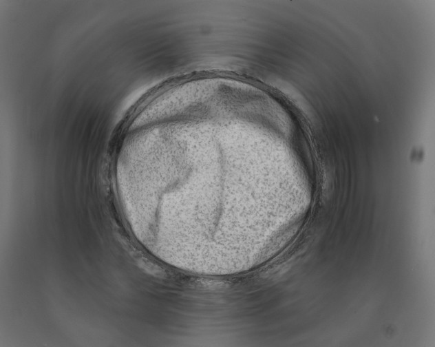 X0000090880878200708241938