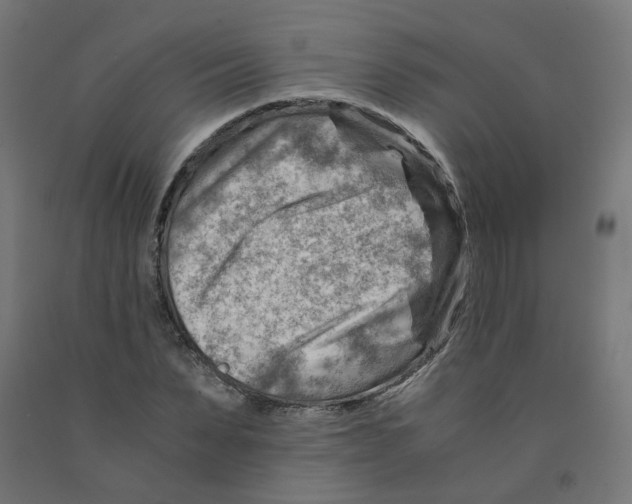 X0000090880879200708241938