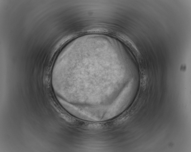 X0000090880882200708241938