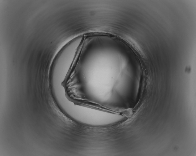 X0000090880884200708241938