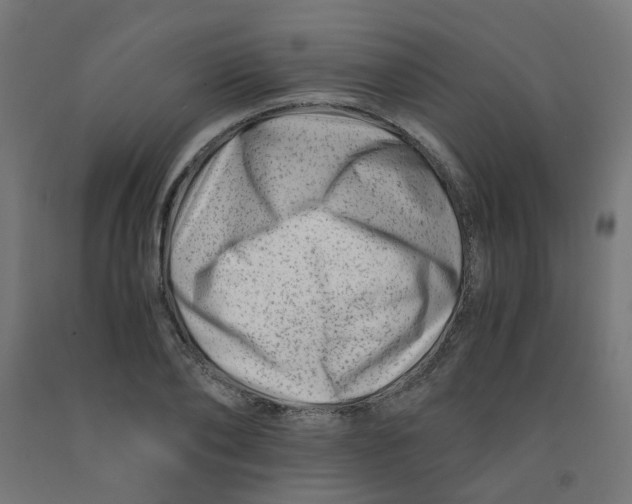 X0000090880886200708241938