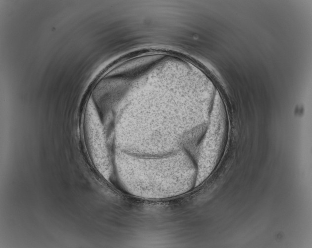 X0000090880887200708241938