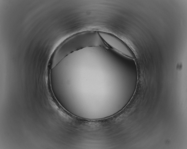 X0000090880888200708241938