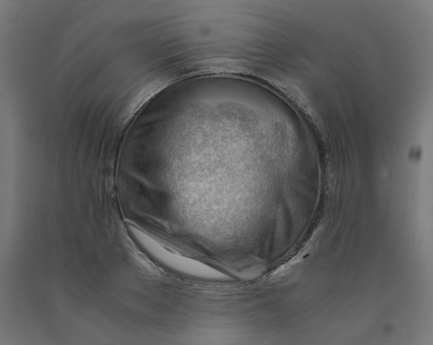 X0000090880889200708241938