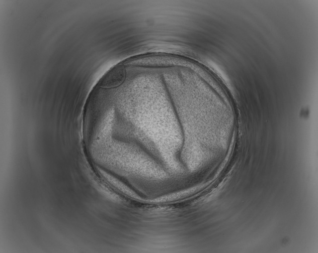 X0000090880891200708241938