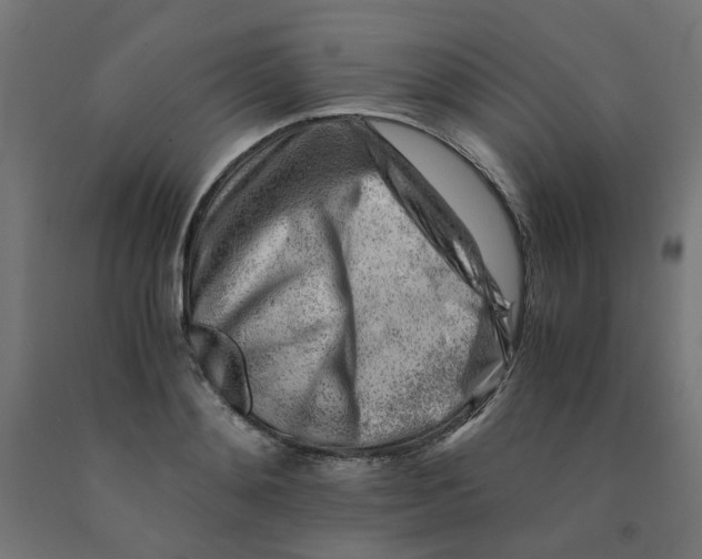 X0000090880892200708241938