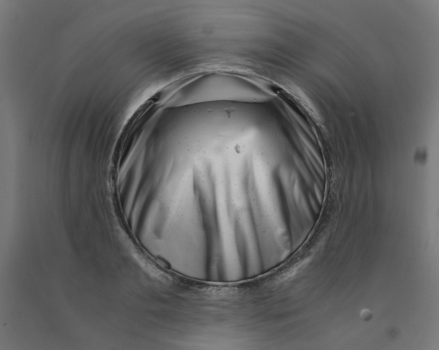 X0000090880893200708241938