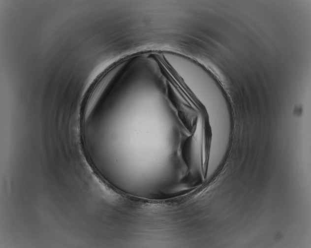 X0000090880894200708241938