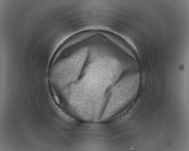 X0000090880895200708241938