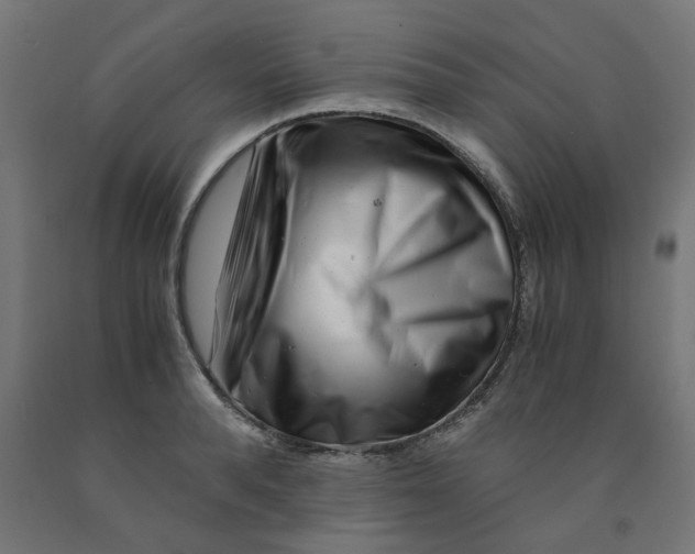 X0000090880896200708241938