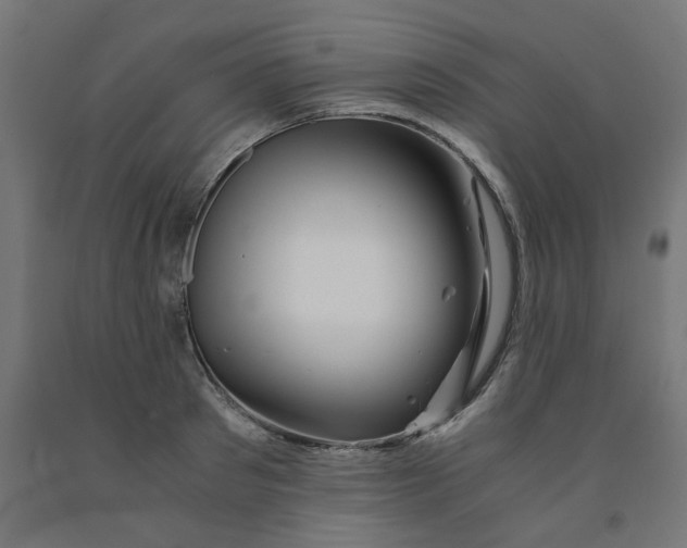 X0000090880897200708241938