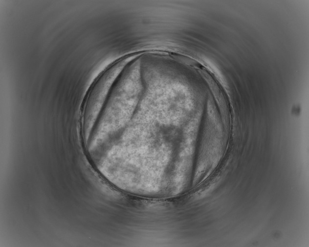 X0000090880899200708241938