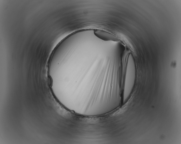 X0000090880900200708241938