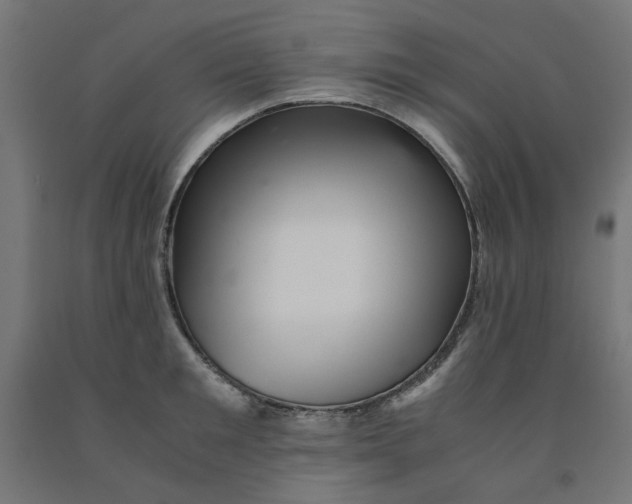 X0000090880901200708241938