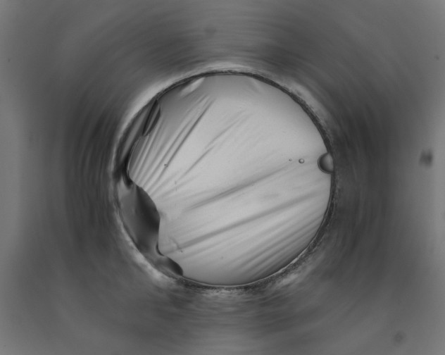 X0000090880902200708241938