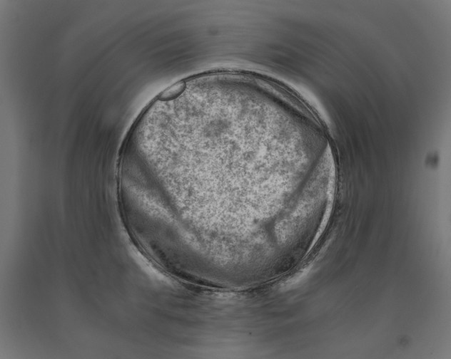 X0000090880903200708241938