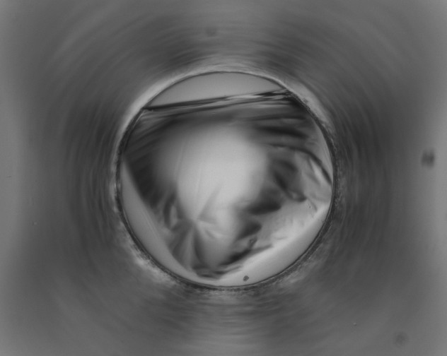 X0000090880904200708241938