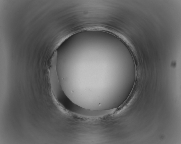 X0000090880905200708241938