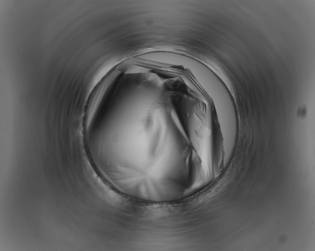 X0000090880906200708241938