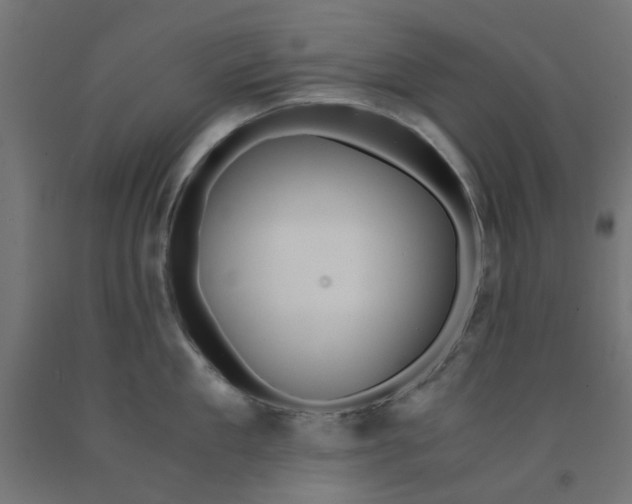 X0000090880909200708241938